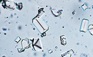 cristallizzazione di proteine