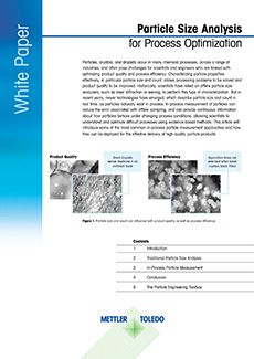 White paper: Analisi granulometrica per l'ottimizzazione dei processi