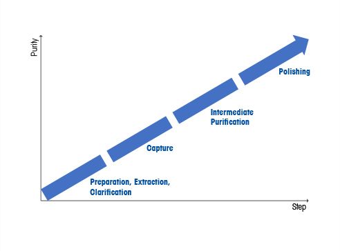 下游加工中的纯化