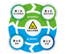 在每个步骤实现安全、合规和高效的<br>危险区域称重