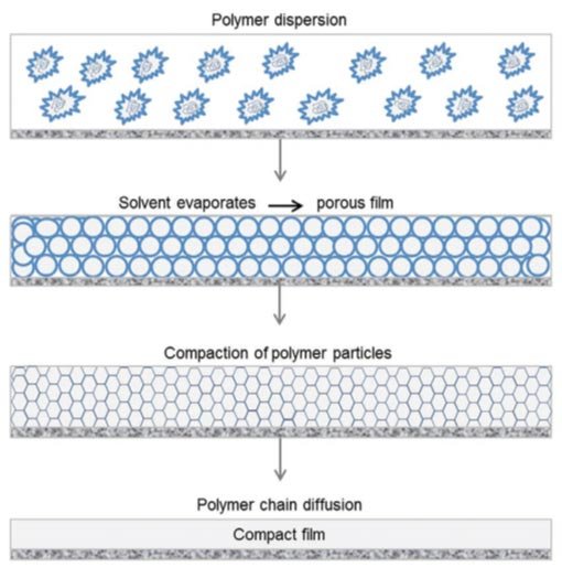 Figure 1. Film formation of a polymer dispersion. For details, see text. Figure 1. Film formation of a polymer dispersion. For details, see text.