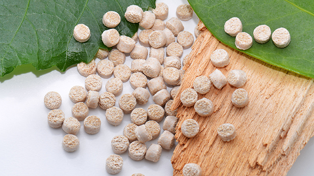 Biopolymers
