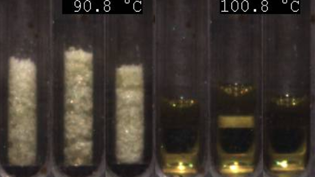 Figure 1. Sample before (left) and after (right) melting event. Figure 1. Sample before (left) and after (right) melting event.