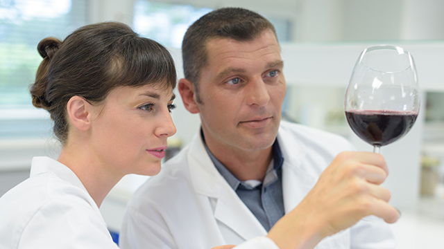 Food & Beverage Innovation