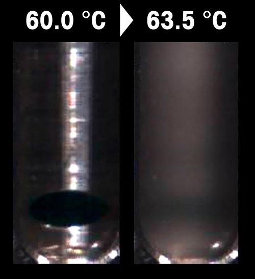 Beyond Melting Point