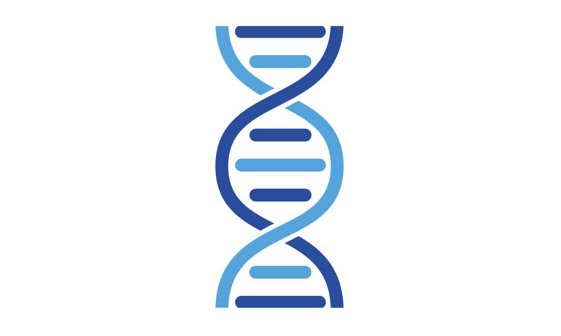 Oligonucleotide Synthesis With UV Vis