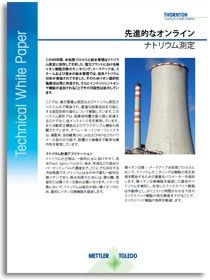 オンラインのナトリウム測定 