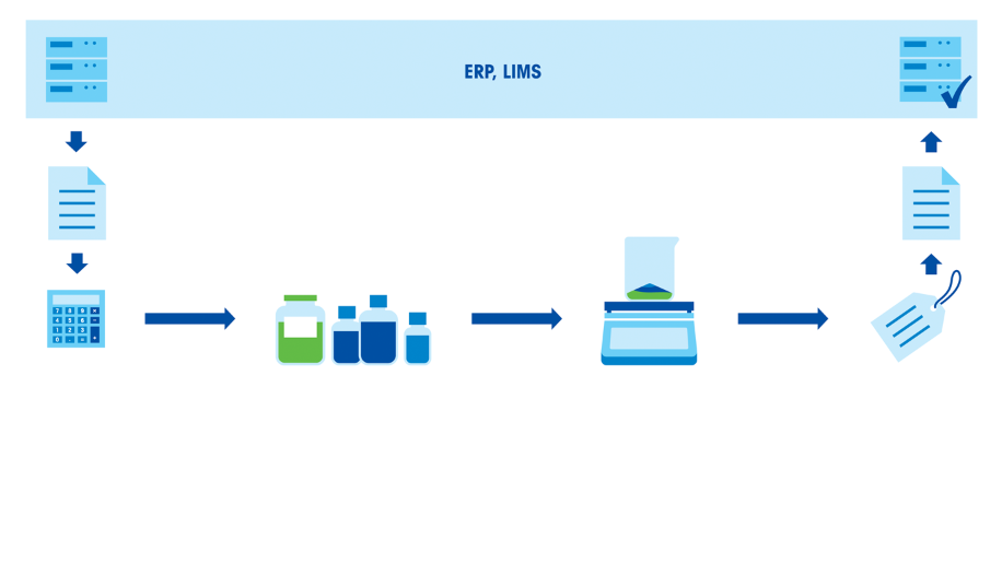 Typical Formulation Workflow