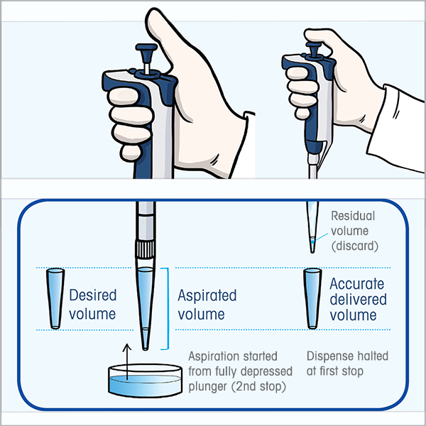 how to reverse pipette
