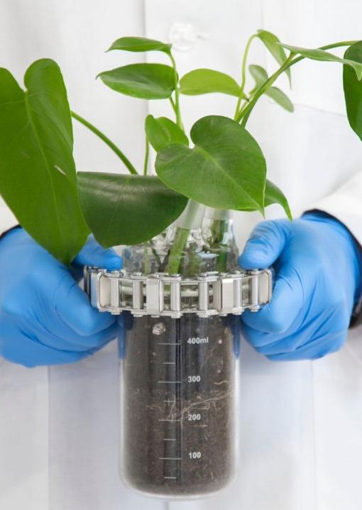 green chemistry