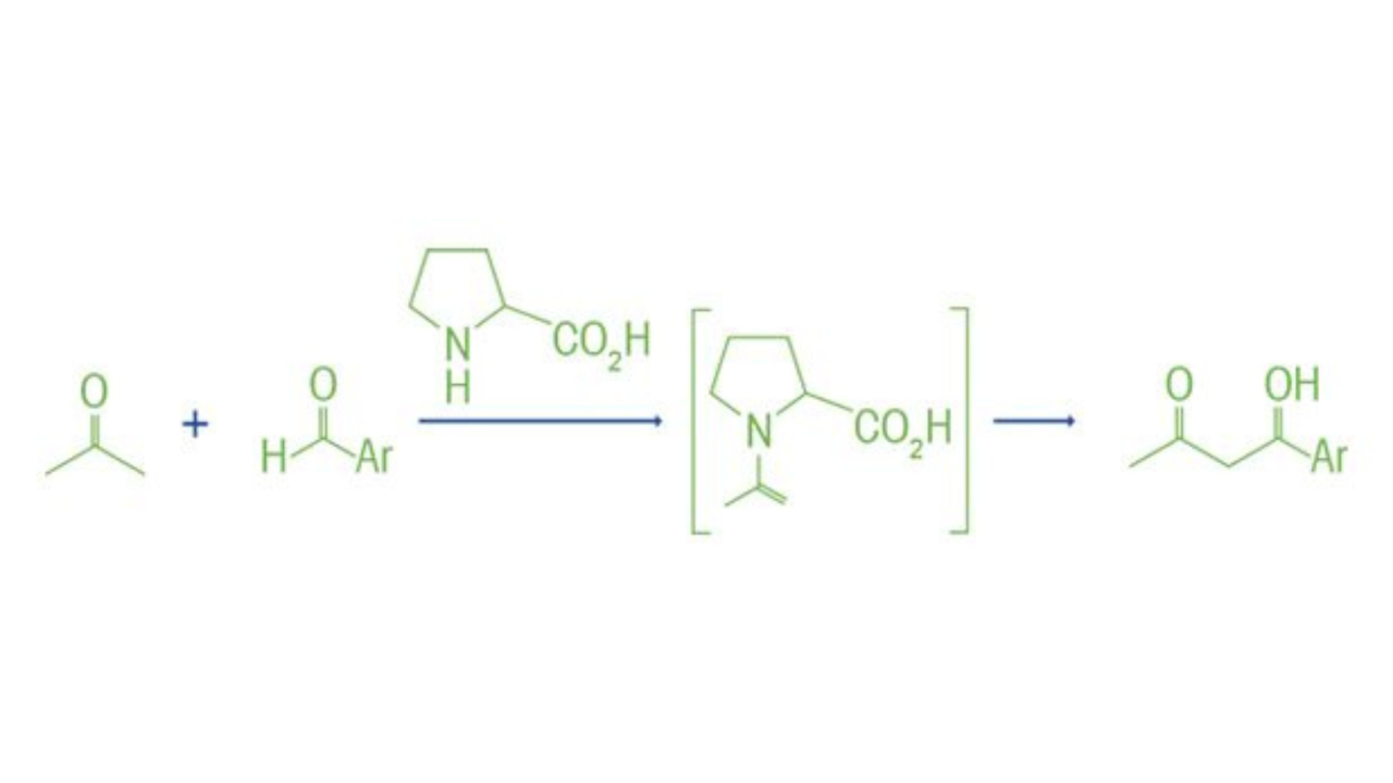 Examples of Organic Catalysts