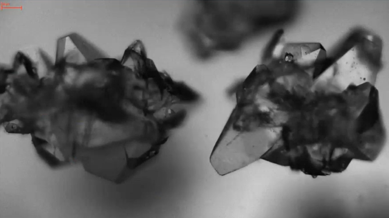 glutamic acid crystallization process development