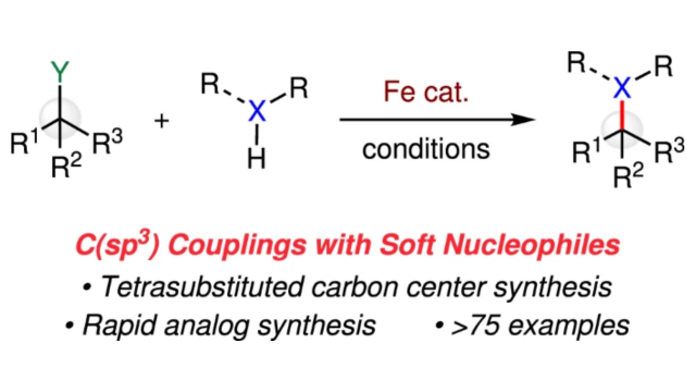 General reaction scheme for an Iron-catalyzed cross-coupling of a substituted sp 3 carbon compound with a secondary amine to synthesize a tetrasubstituted carbon center. General reaction scheme for an Iron-catalyzed cross-coupling of a substituted sp 3 carbon compound with a secondary amine to synthesize a tetrasubstituted carbon center.