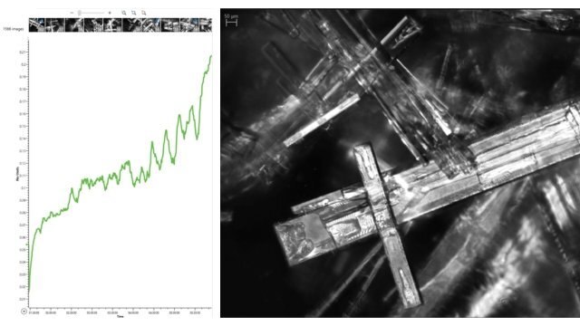 crystallization process crystallization process