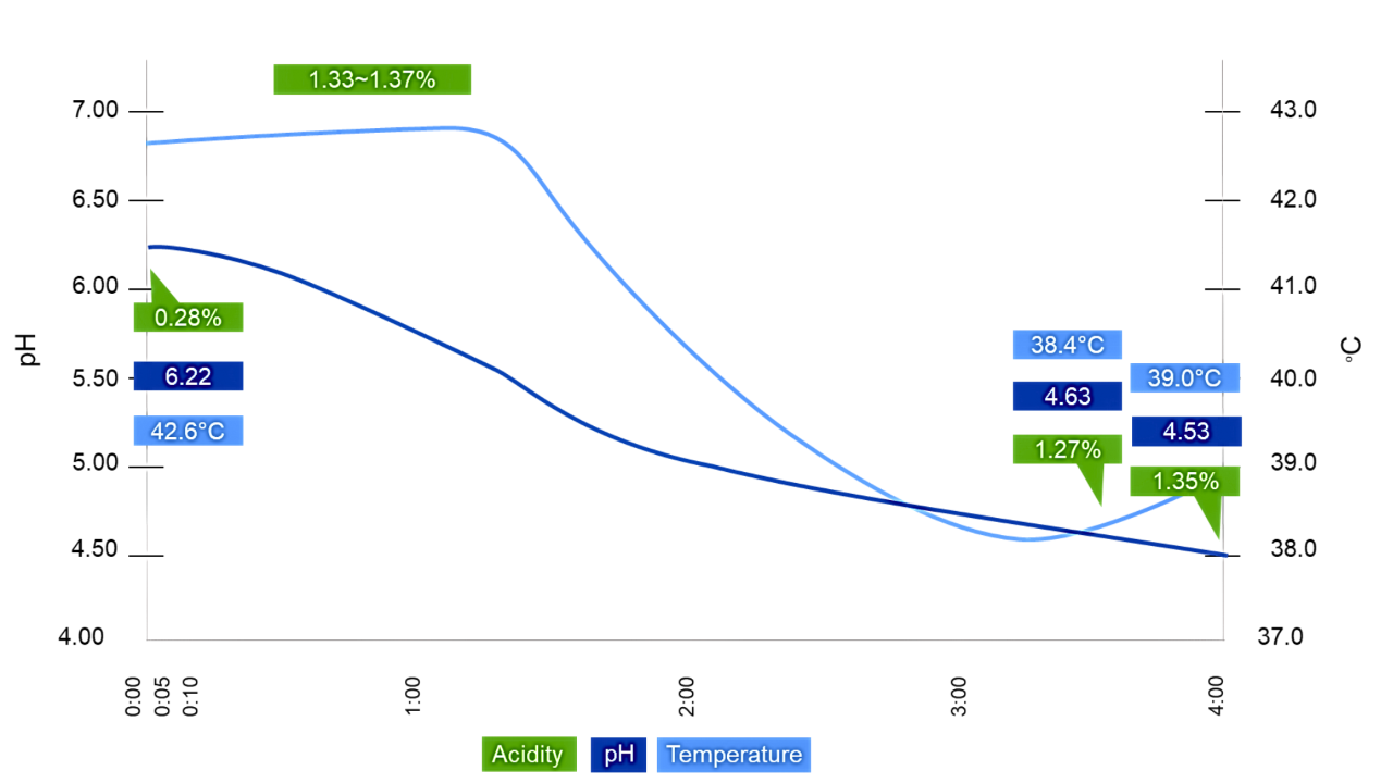 Understanding the Fermentation Process Understanding the Fermentation Process