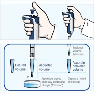 how to reverse pipette