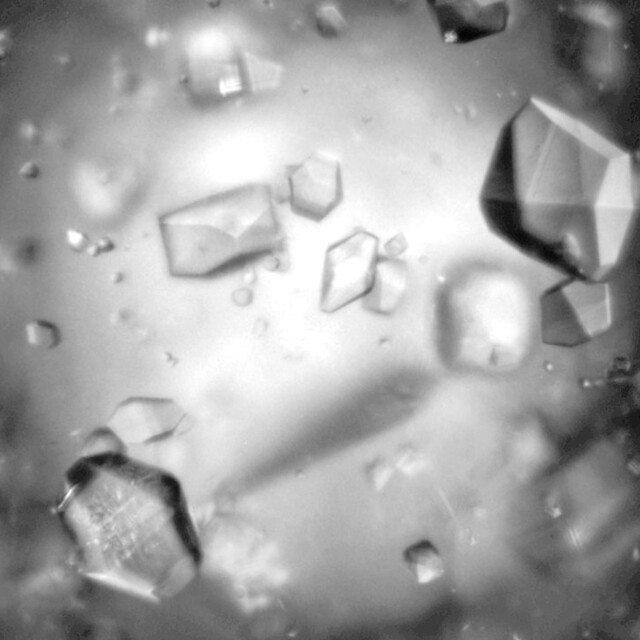 particle size distribution