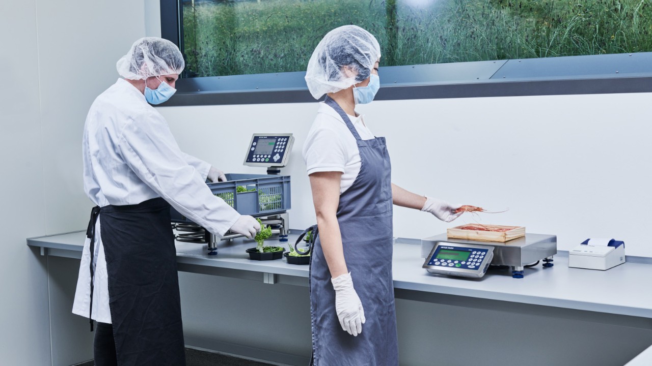 Food Industry Scales