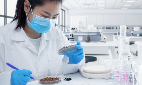 What Is Food Regulatory Compliance?