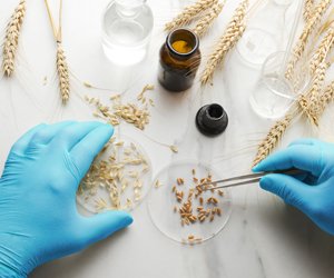 Pesticides and heavy metals in food