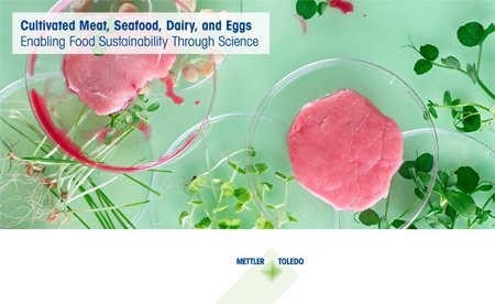 Cultivated meat, cultured meat or lab grown meat are terms commonly use to refer to meat produced in bioreactor. Learn how we can help overcome some hurdles of this industry in our Cultivated meat, seafood, dairy and eggs guide.