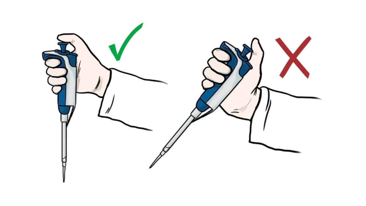 how do I use a pipette correctly?