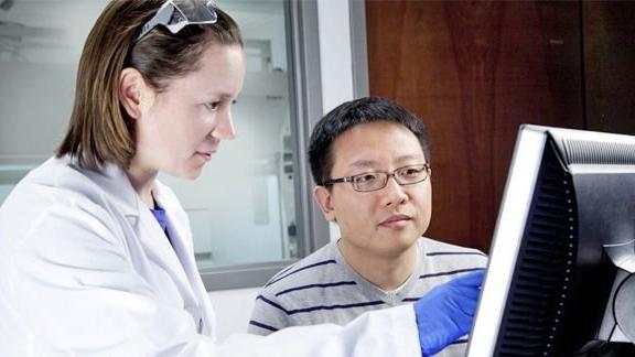 Two scientists working at a computer
