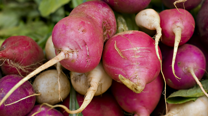 Bunch of radishes