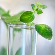 real time analysis green chemistry