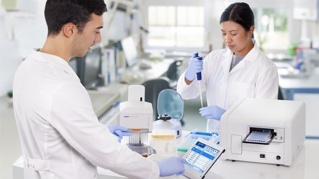 micropro case study at university of Michigan