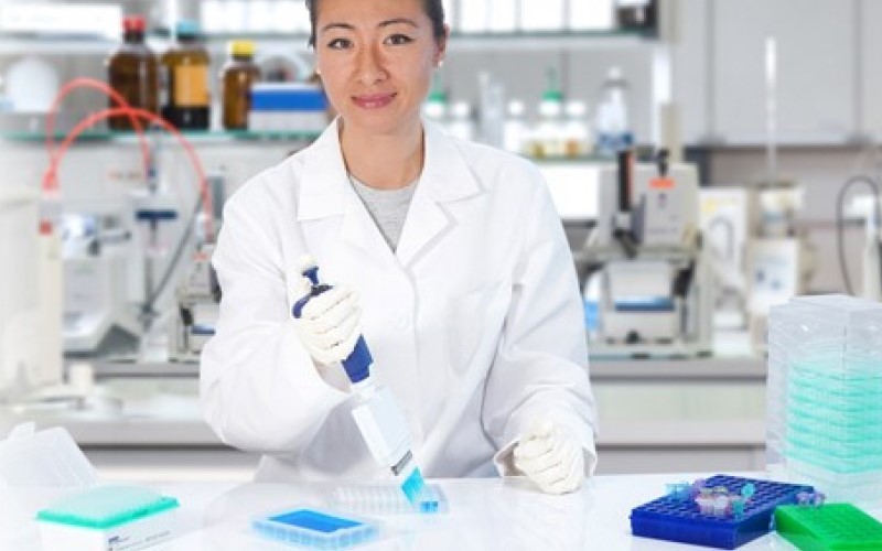 manual multichannel pl+ pipette