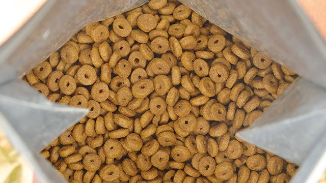 Filling stage in pet food production