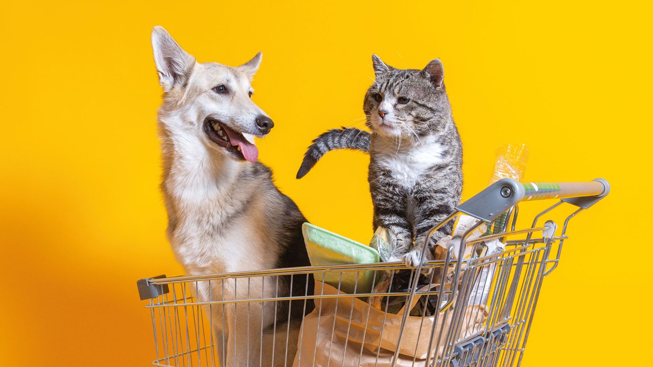 Pet food quality concerns - cat and dog in shopping cart