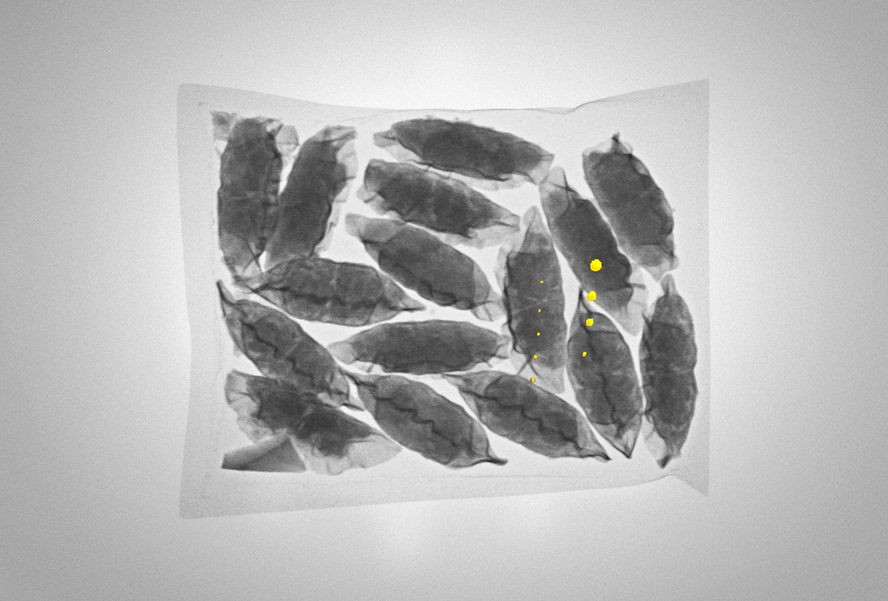 Dual Energy X-ray Inspection | Live Webinar