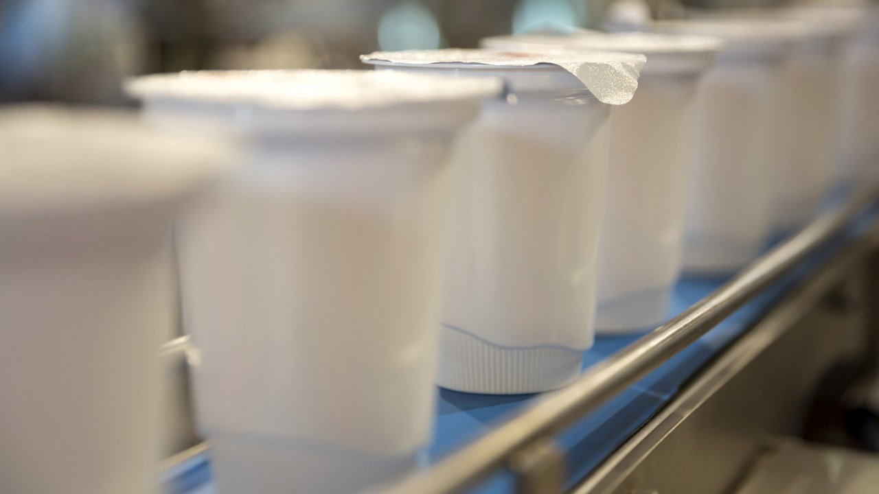 Dairy products on conveyor belt