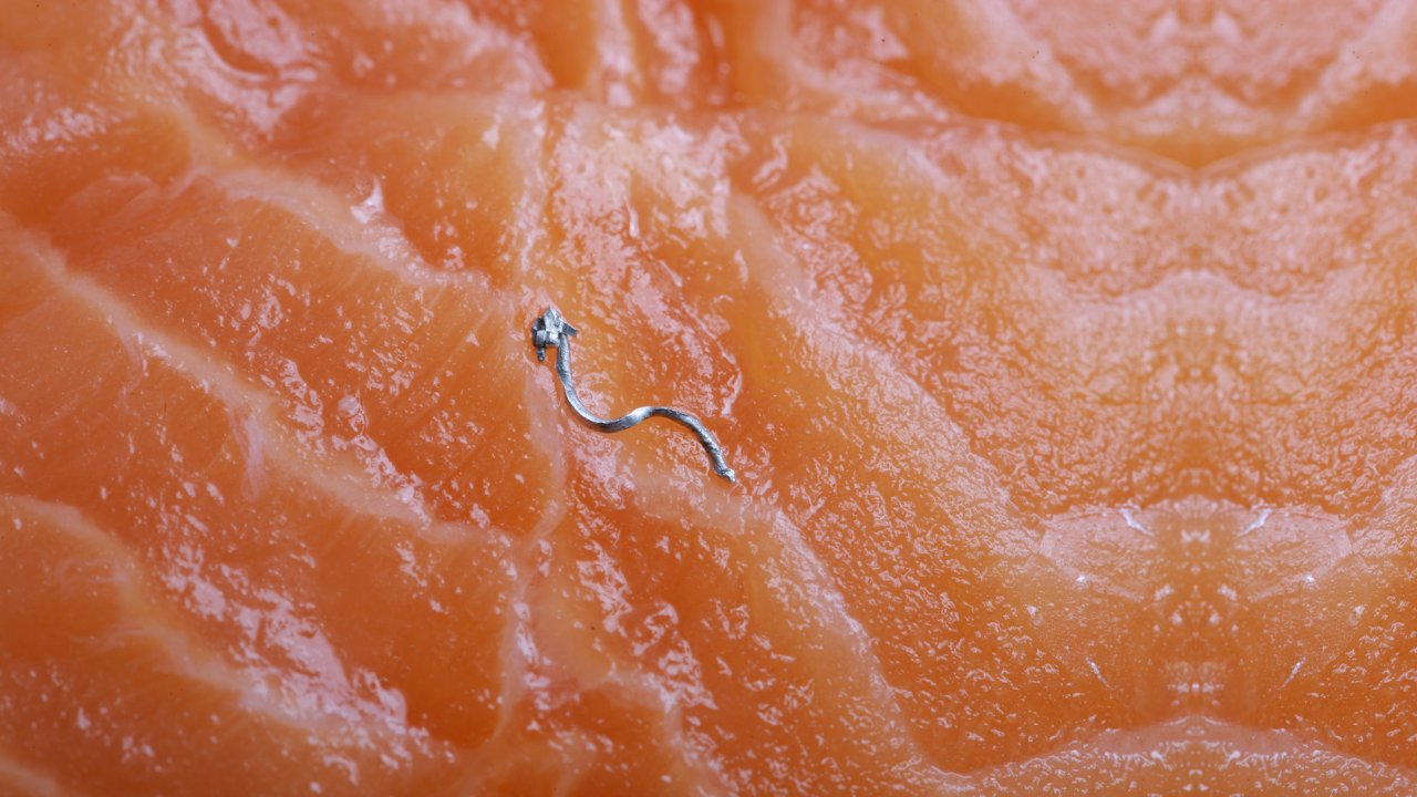 Physical Contamination in meat, poultry, and seafood