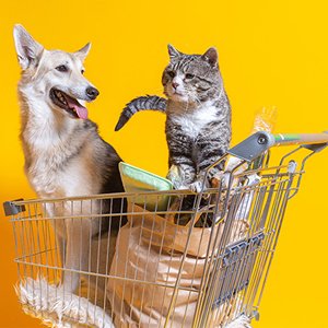 Product Inspection for the Pet Food Industry | METTLER TOLEDO