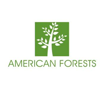 You Helped Plant 25,818 Trees and Counting!