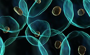 Fermentering og bioforarbejdning