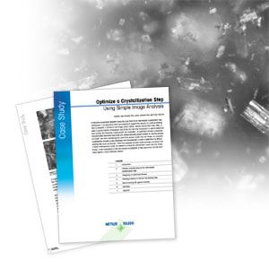 Crystallization Step With Image Analysis