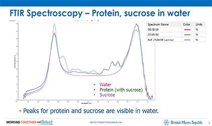 Real-Time Monitoring of Downstream Biologics Operations