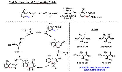 Reaction Discovery and Development with Kinetics