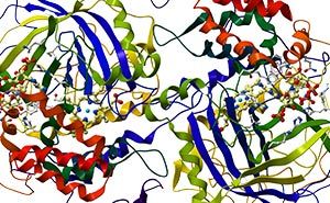 Biocatalysis