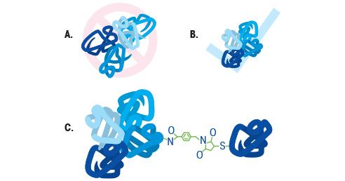 Proteinkristallisation in grossem Massstab