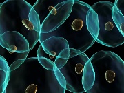 Fermentation and Bioprocessing