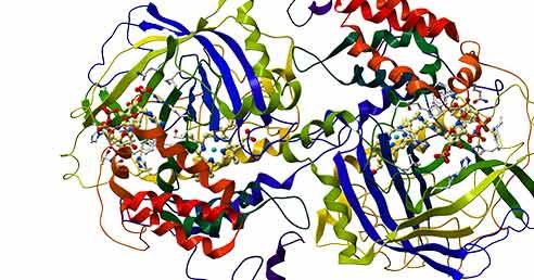Qu'est-ce que la biocatalyse ? Qu'est-ce que la biocatalyse ?
