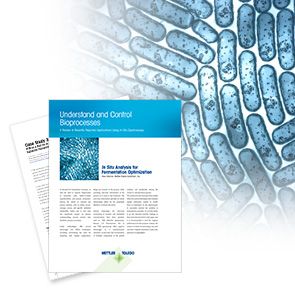 Bioprocesses Fermentation