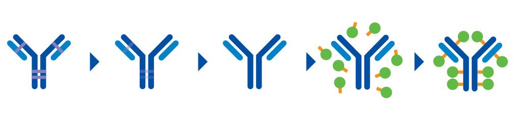 Выделение целевых продуктов биоконъюгации