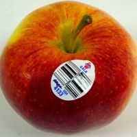 Traceability in Grocery Retail