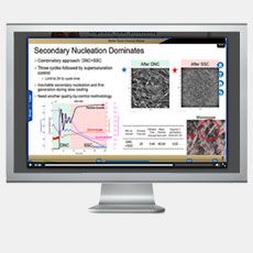 Design of Agrochemical Crystallization
